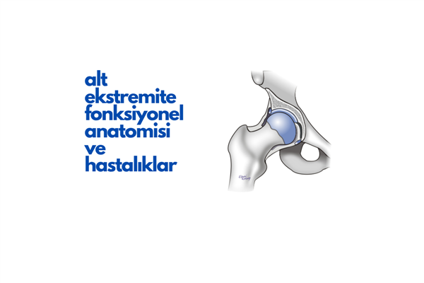Alt Ekstremite Fonksiyonel Anatomisi ve Hastalıklar
