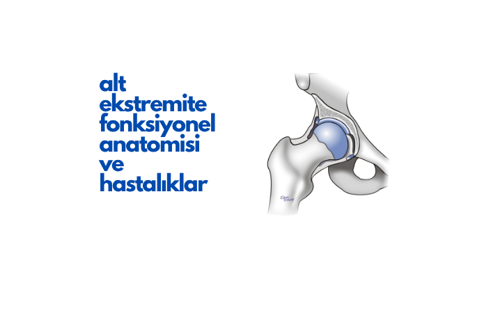 Alt Ekstremite