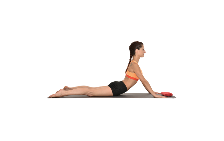 Pilates Modül 1 Ve Hareket Anatomisi